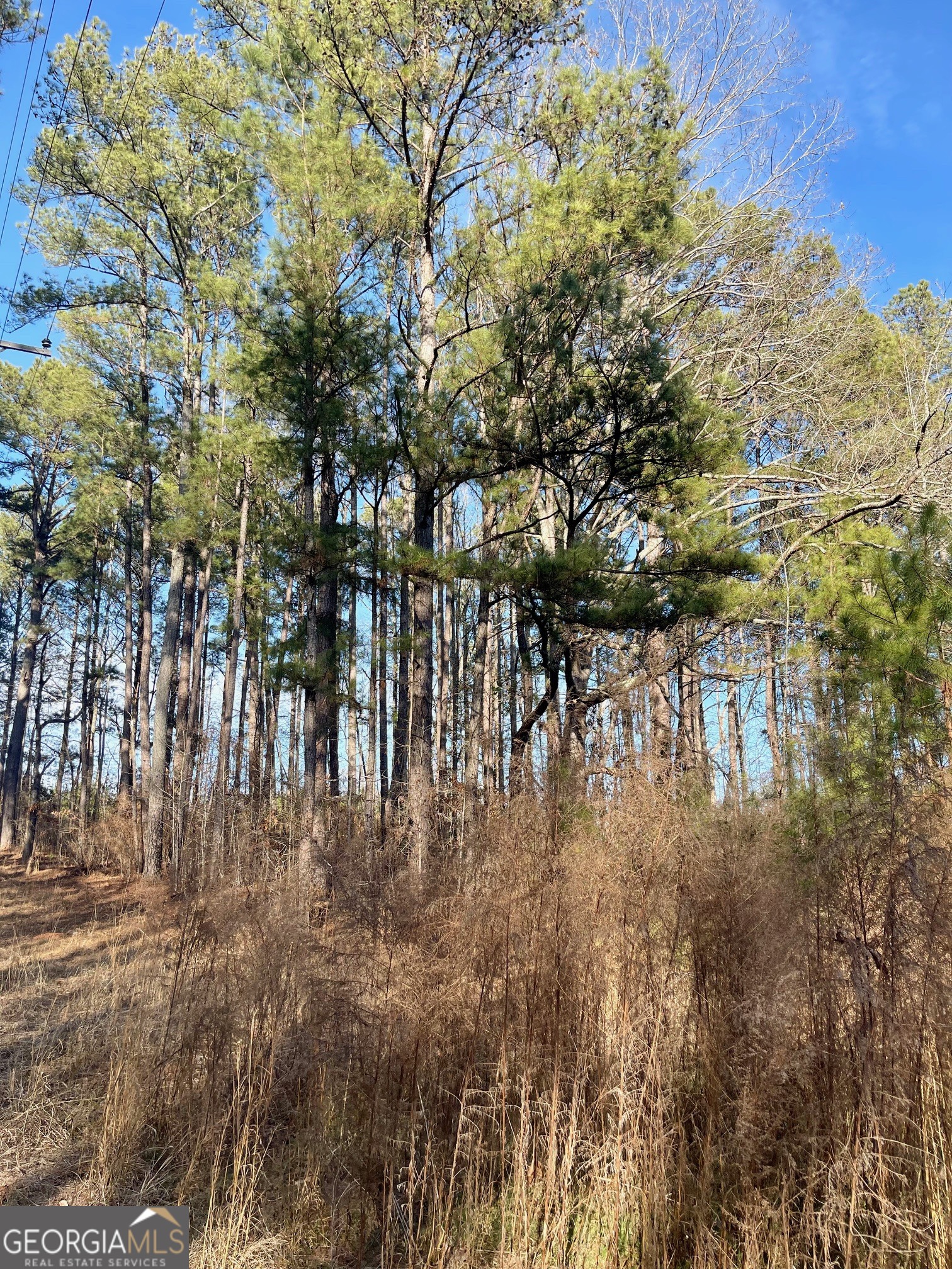 0 Padgett Road Senoia GA 30276