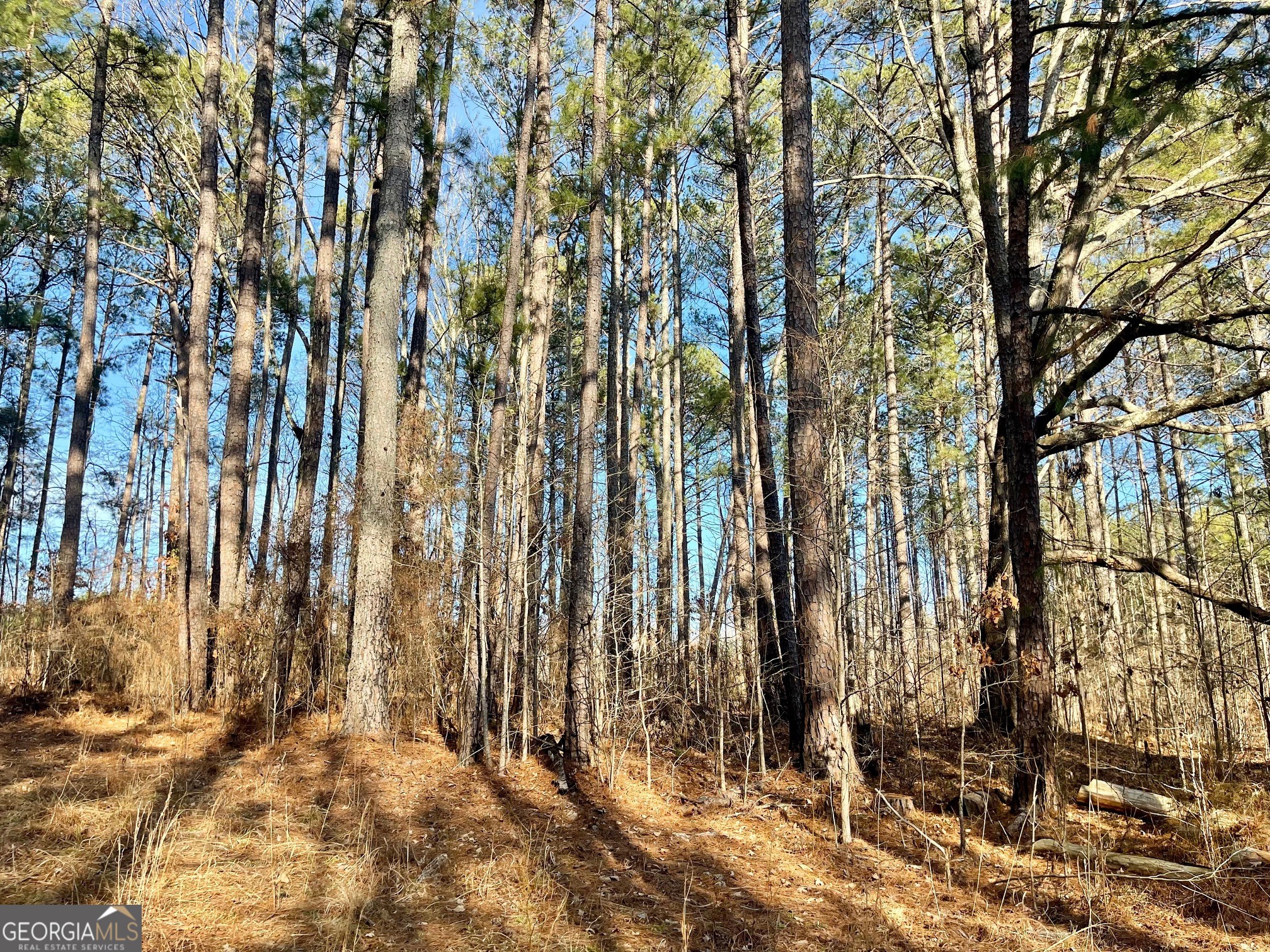 0 Padgett Road Senoia GA 30276