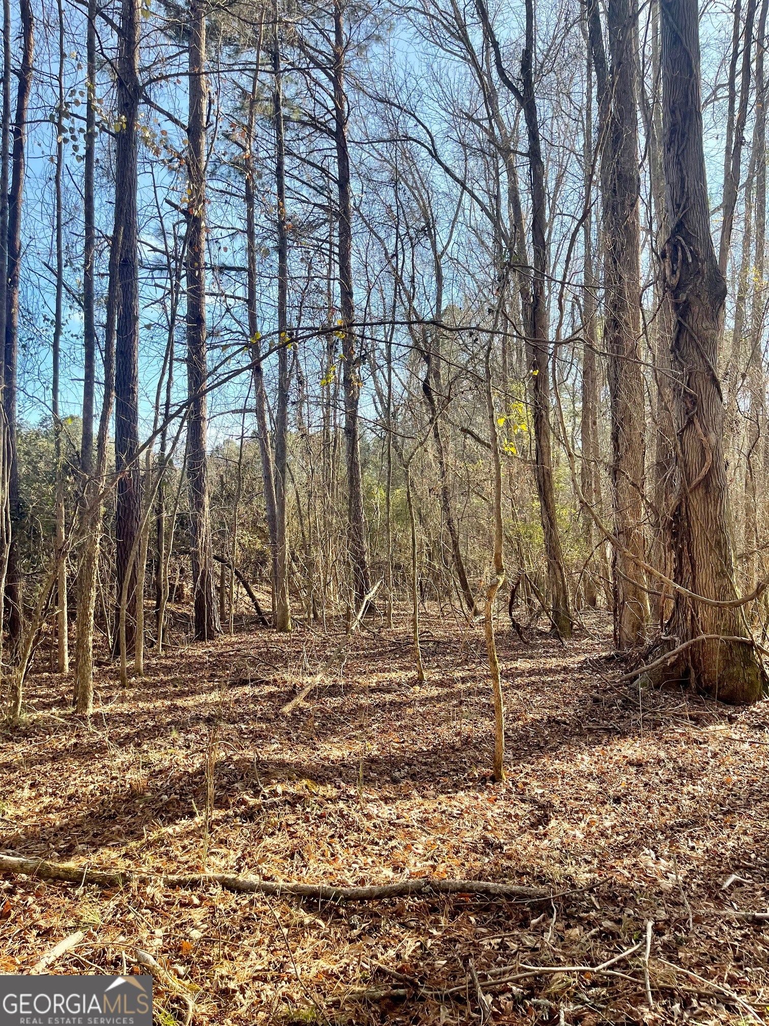 0 Padgett Road Senoia GA 30276
