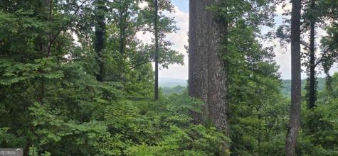 001 Windning Ridge Blairsville GA 30514