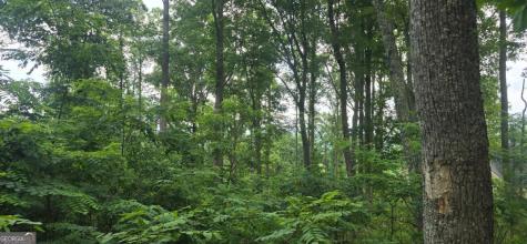 001 Windning Ridge Blairsville GA 30514