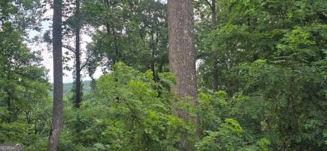 001 Windning Ridge Blairsville GA 30514
