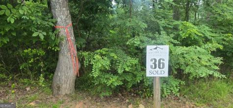 001 Windning Ridge Blairsville GA 30514