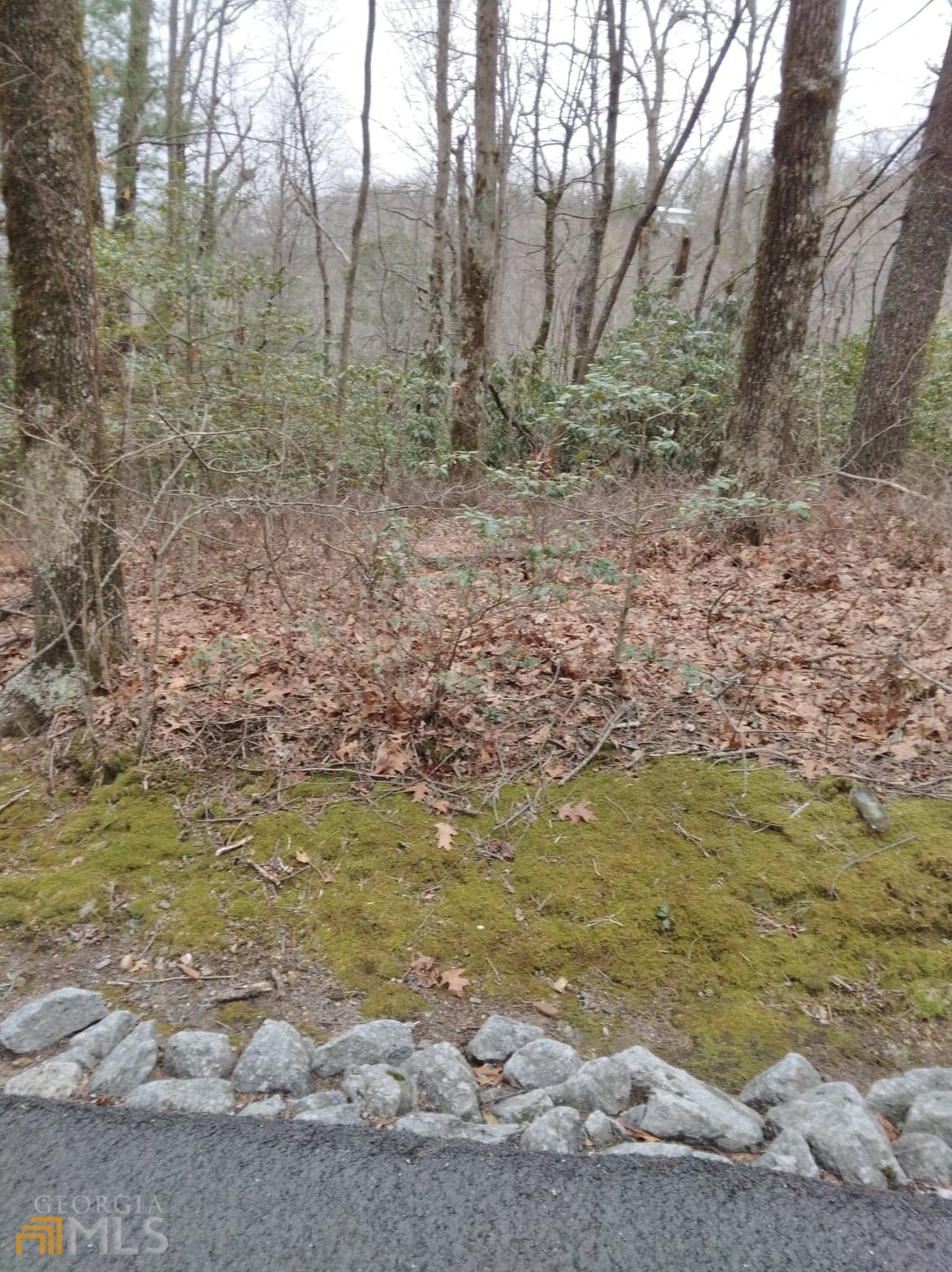 0 Lot 10 & 11 Honey Bear Dillard GA 30537