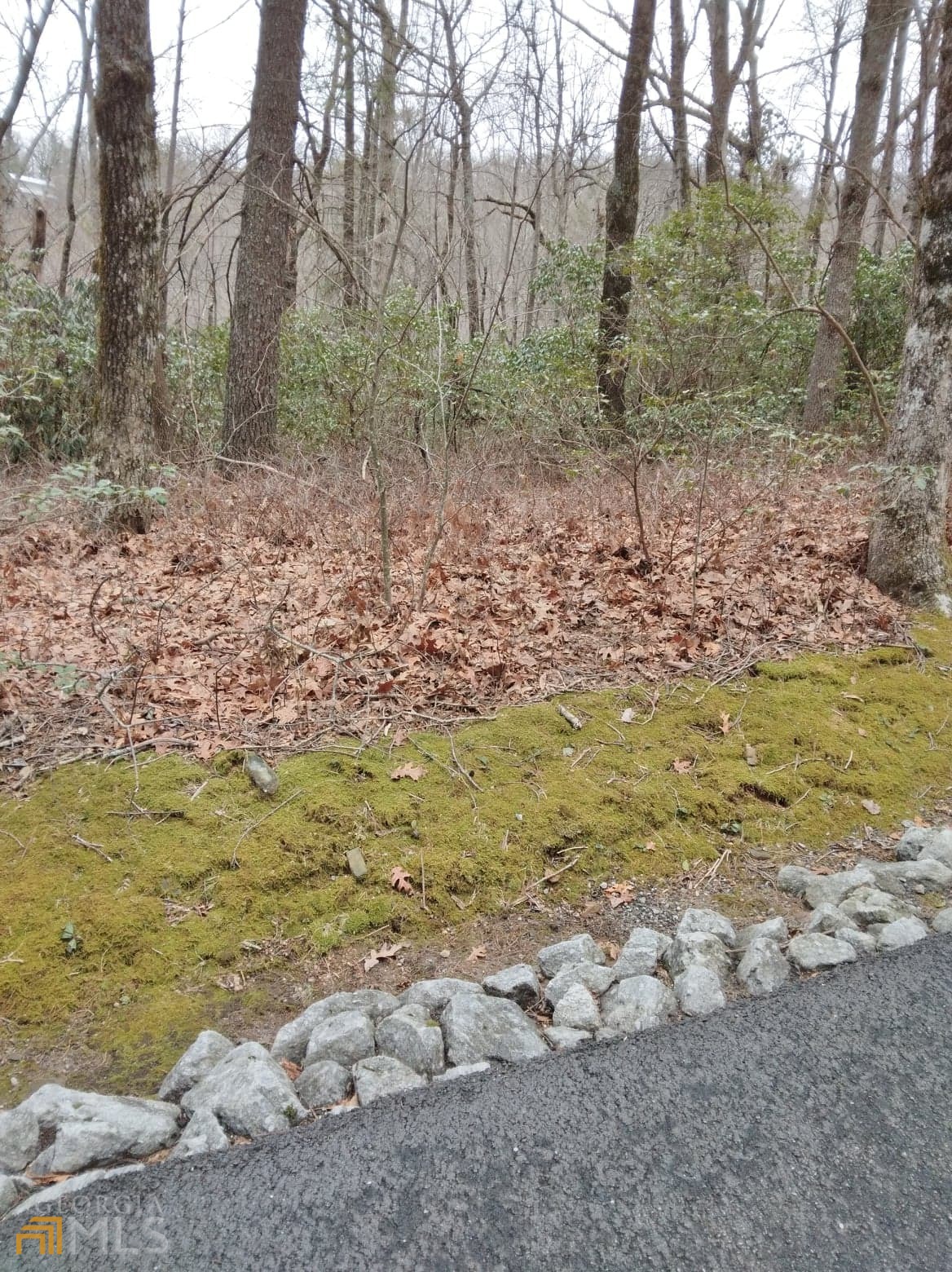 0 Lot 10 & 11 Honey Bear Dillard GA 30537
