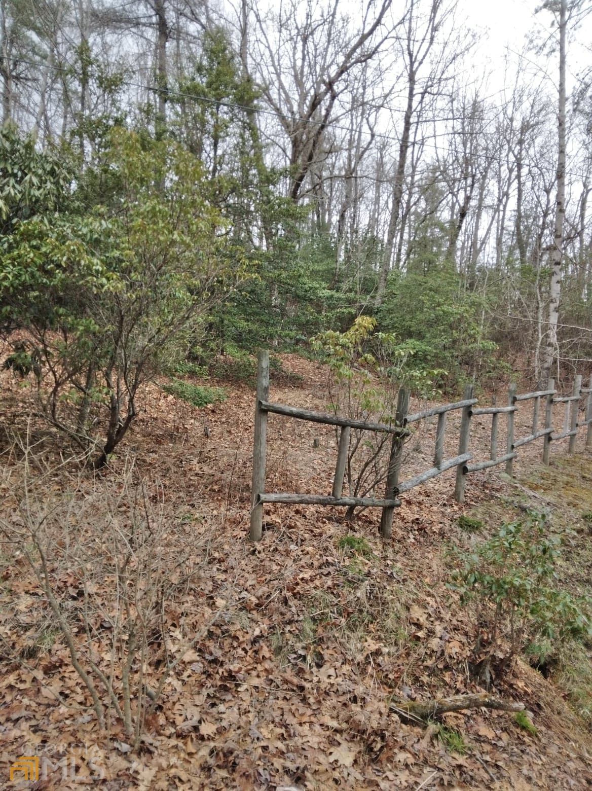 0 Lot 10 & 11 Honey Bear Dillard GA 30537