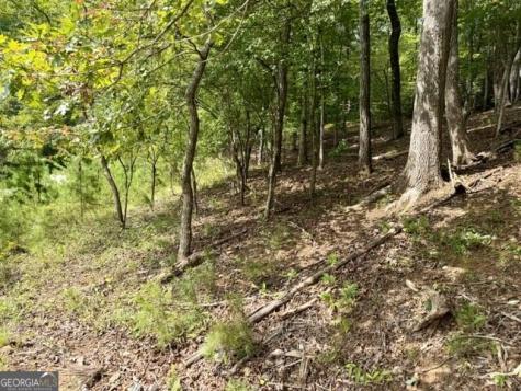 40 Madeline Anthony Road Dahlonega GA 30533