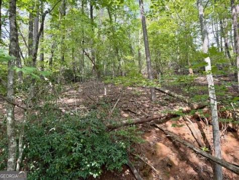 40 Madeline Anthony Road Dahlonega GA 30533