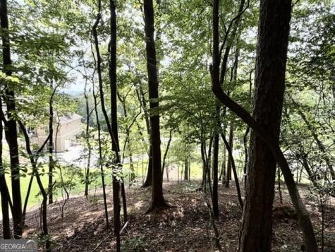 40 Madeline Anthony Road Dahlonega GA 30533