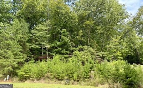 40 Madeline Anthony Road Dahlonega GA 30533