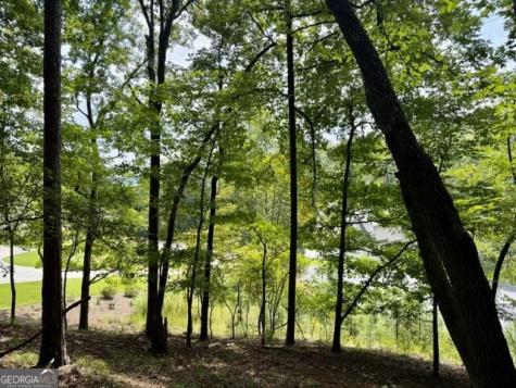 40 Madeline Anthony Road Dahlonega GA 30533