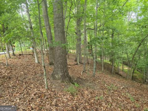 Lot 476 Riverview Drive Ellijay GA 30540