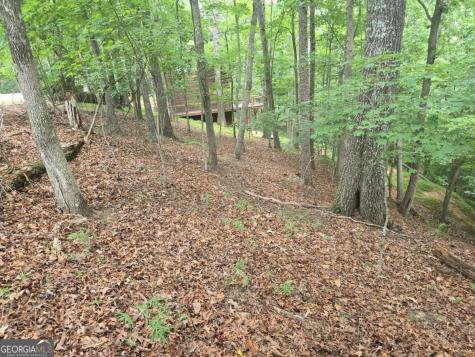 Lot 476 Riverview Drive Ellijay GA 30540