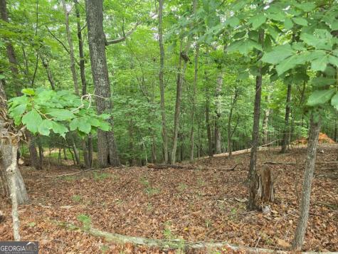 Lot 476 Riverview Drive Ellijay GA 30540