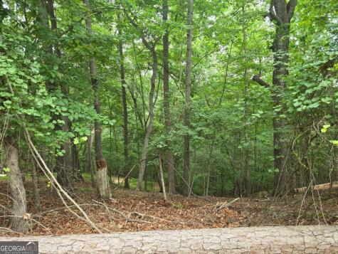 Lot 476 Riverview Drive Ellijay GA 30540