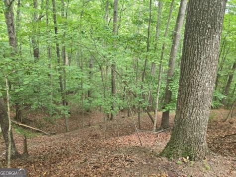 Lot 476 Riverview Drive Ellijay GA 30540