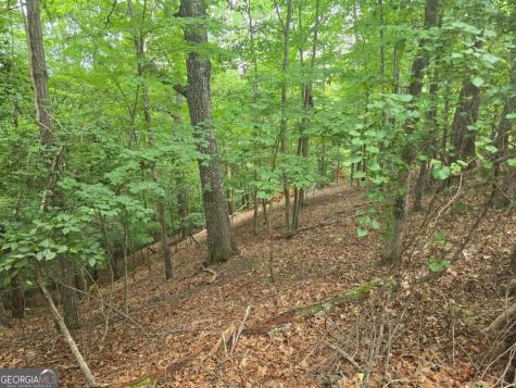Lot 476 Riverview Drive Ellijay GA 30540
