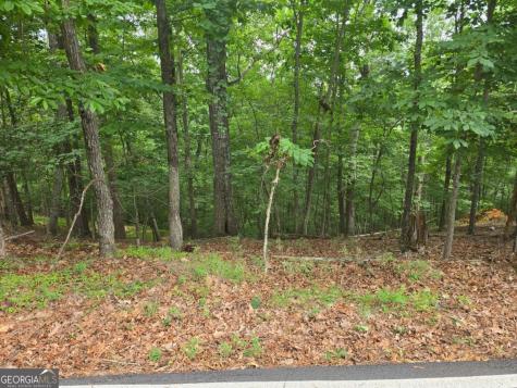 Lot 476 Riverview Drive Ellijay GA 30540