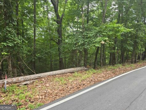 Lot 476 Riverview Drive Ellijay GA 30540