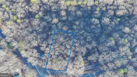 Lot 476 Riverview Drive Ellijay GA 30540