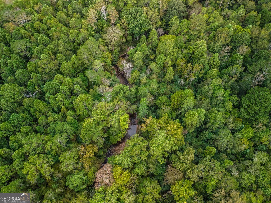 2.35AC Old Northcutt Road Ellijay GA 30540