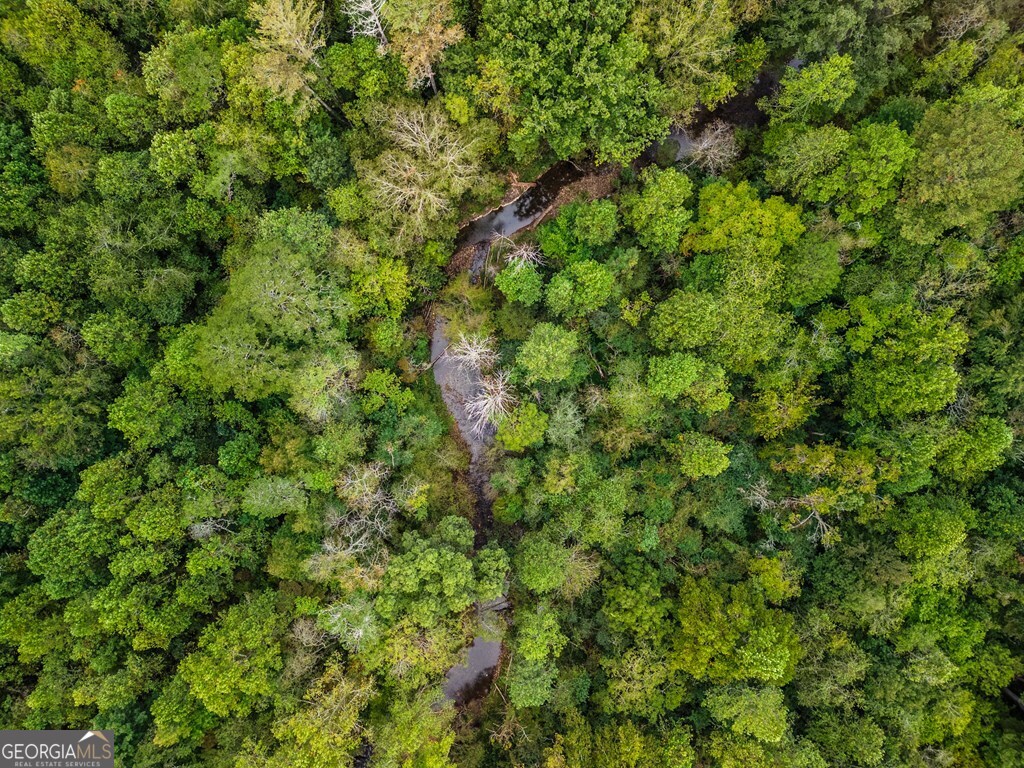2.35AC Old Northcutt Road Ellijay GA 30540
