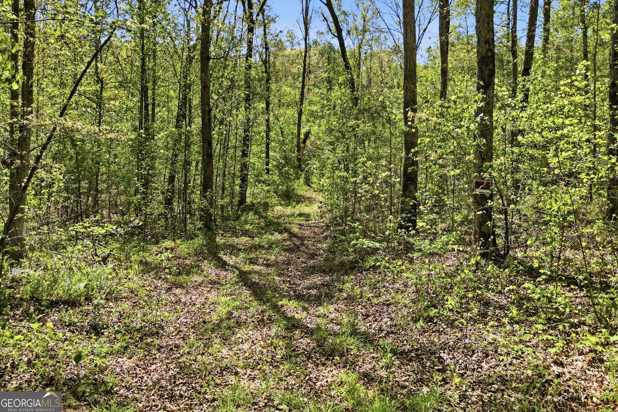 1933 Highway 136 W Talking Rock GA 30175
