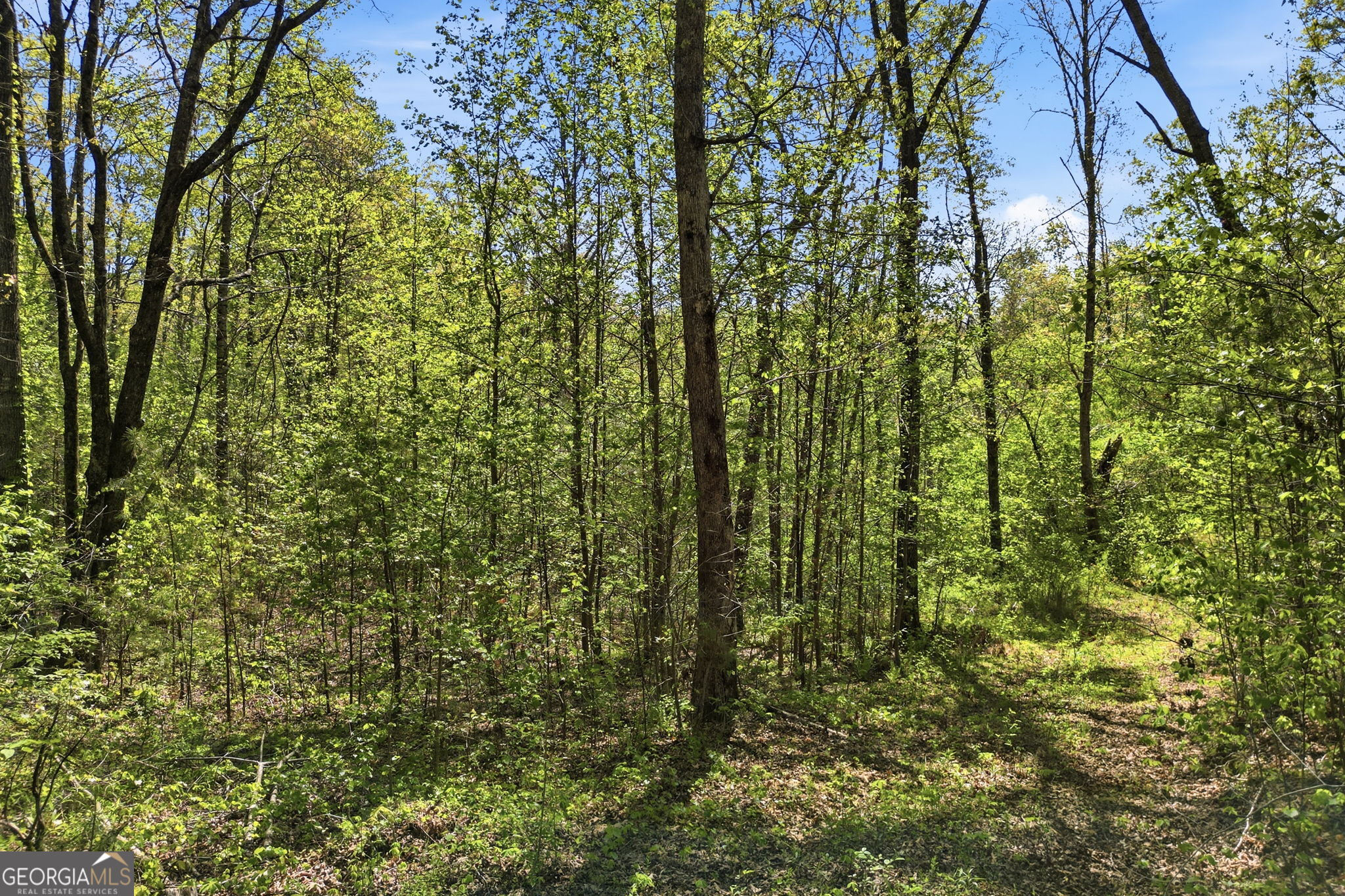 1933 Highway 136 W Talking Rock GA 30175