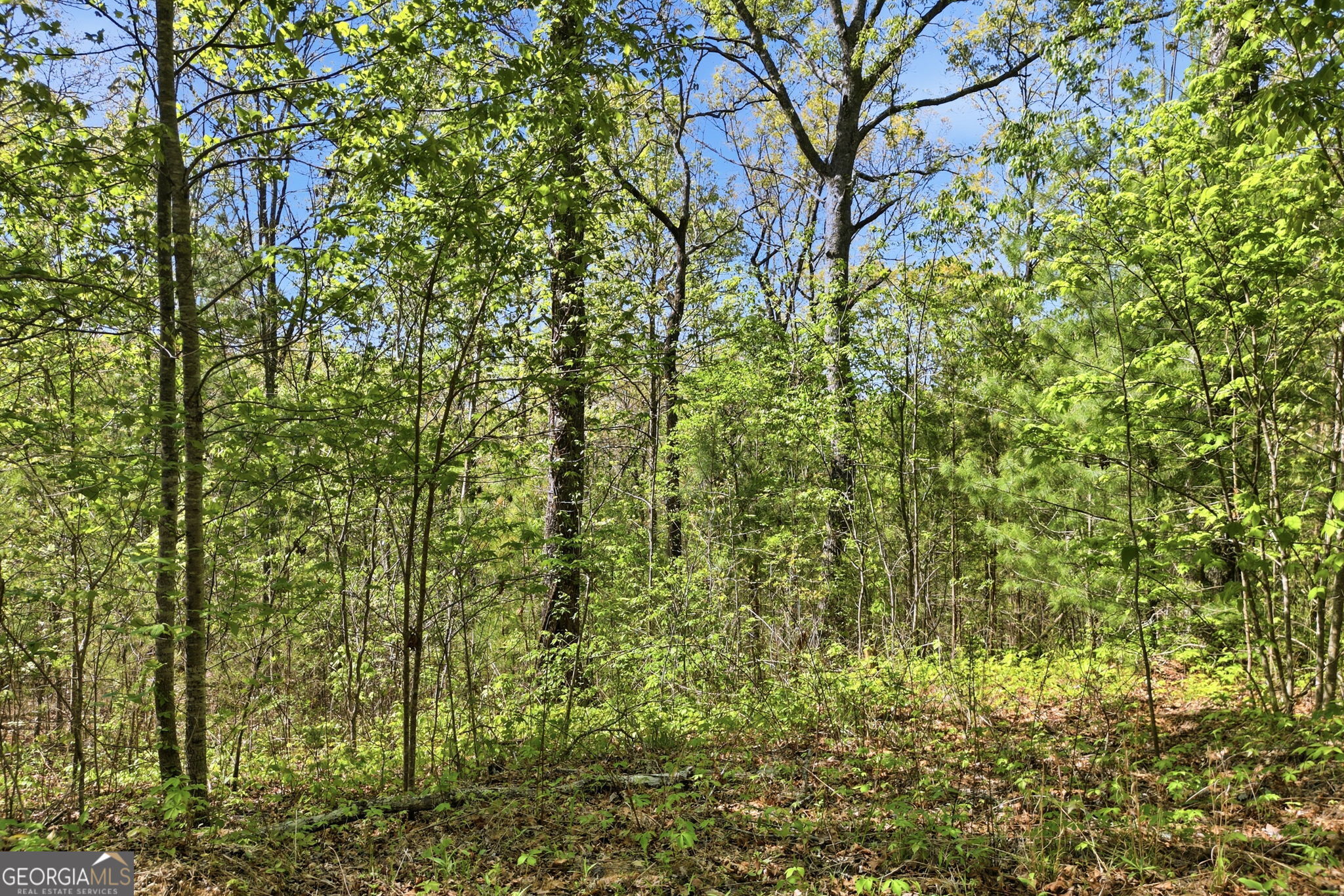 1933 Highway 136 W Talking Rock GA 30175