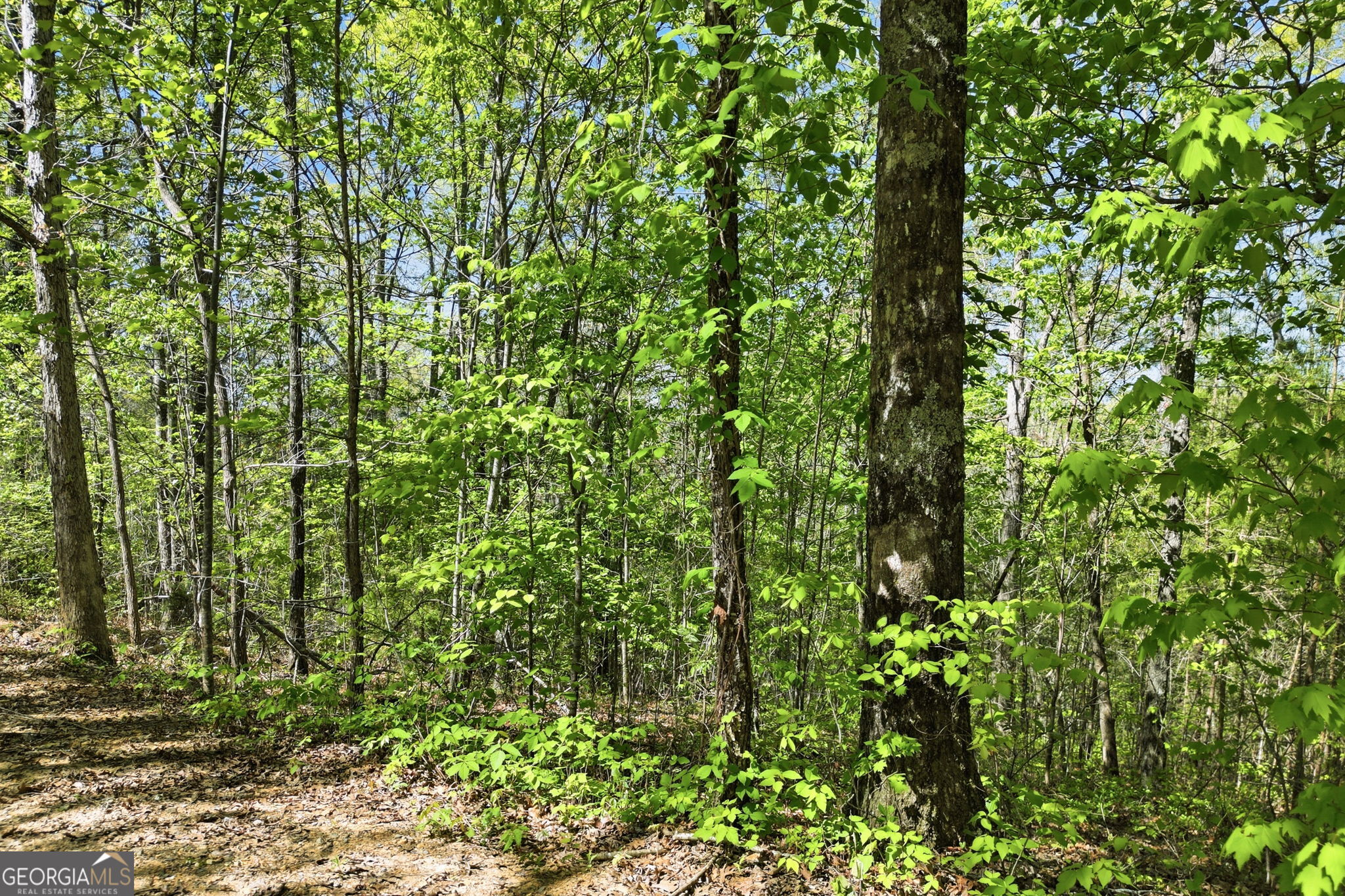 1933 Highway 136 W Talking Rock GA 30175