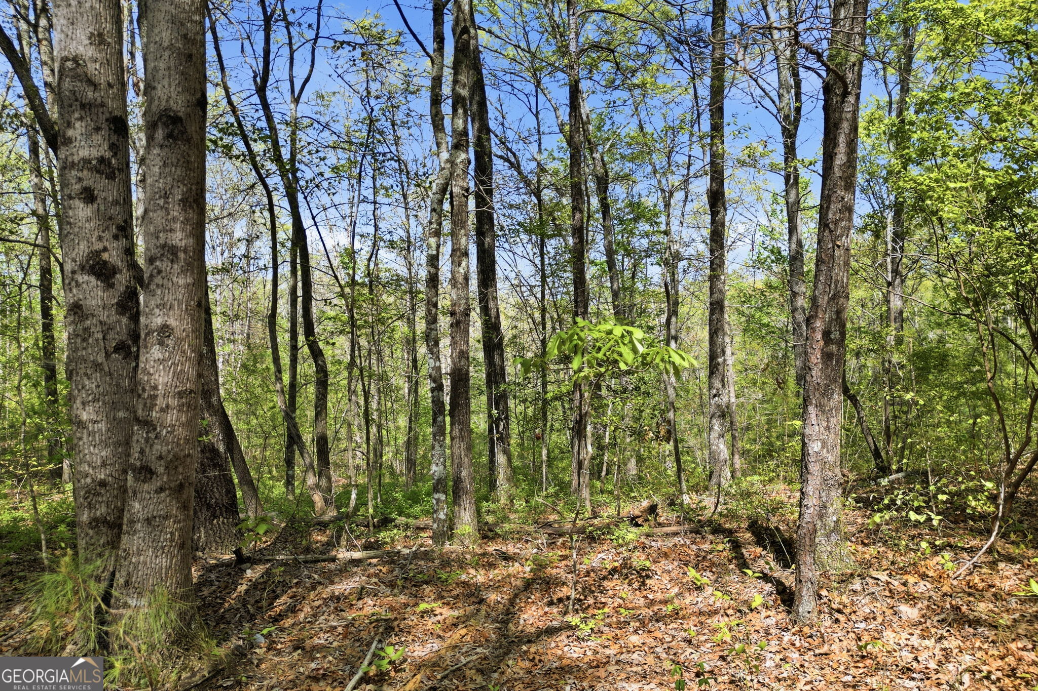 1933 Highway 136 W Talking Rock GA 30175