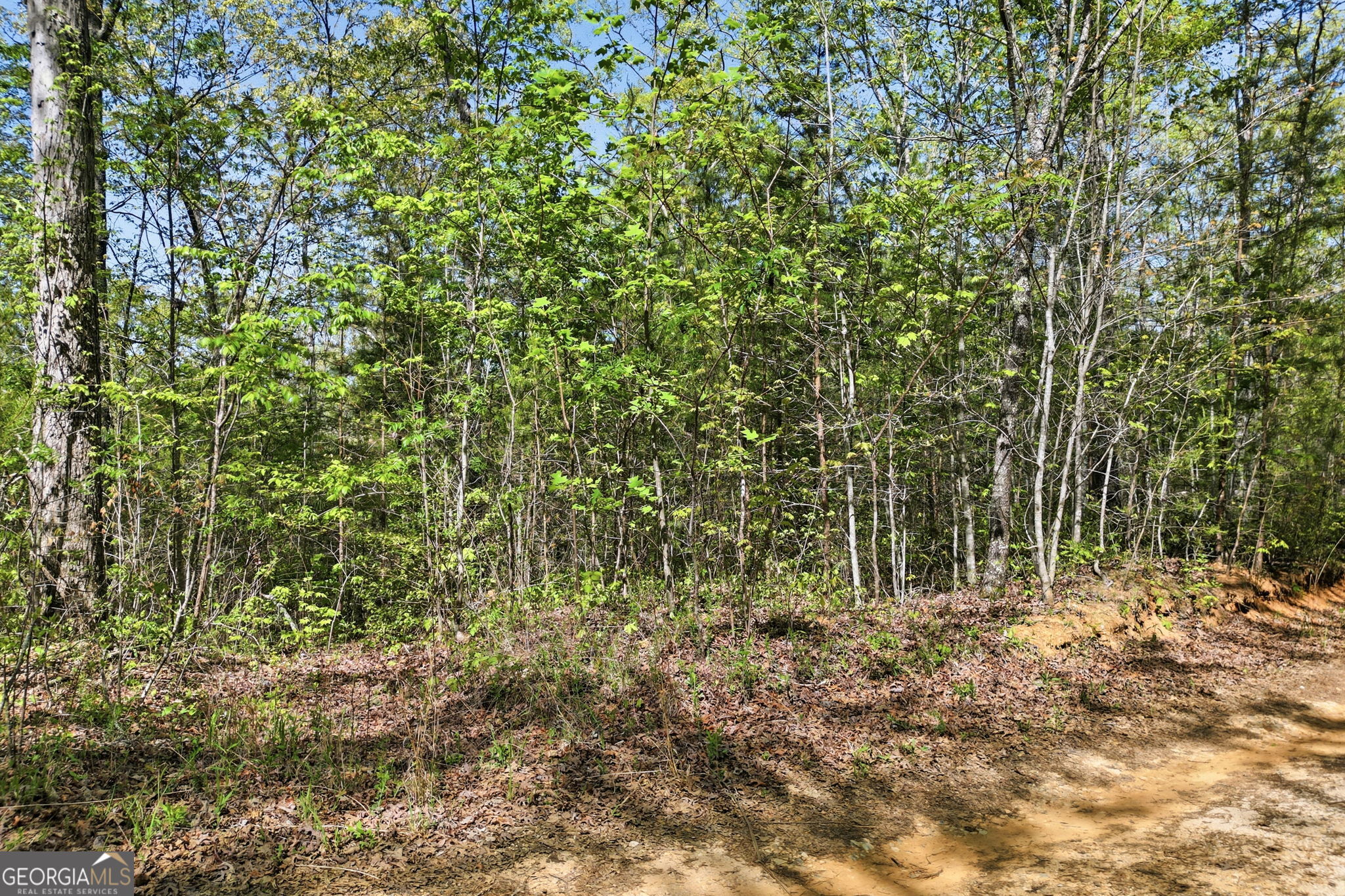 1933 Highway 136 W Talking Rock GA 30175