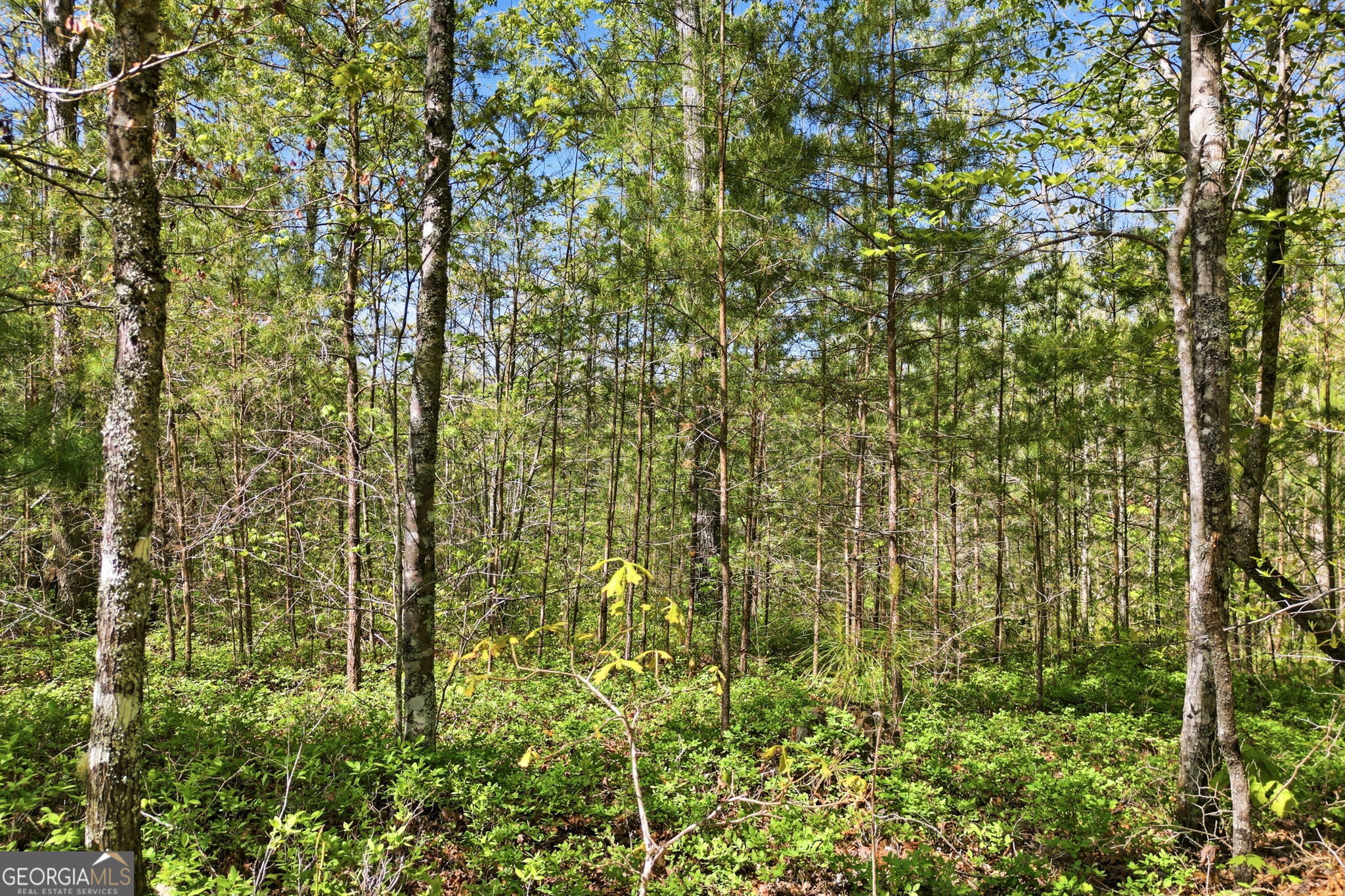 1933 Highway 136 W Talking Rock GA 30175