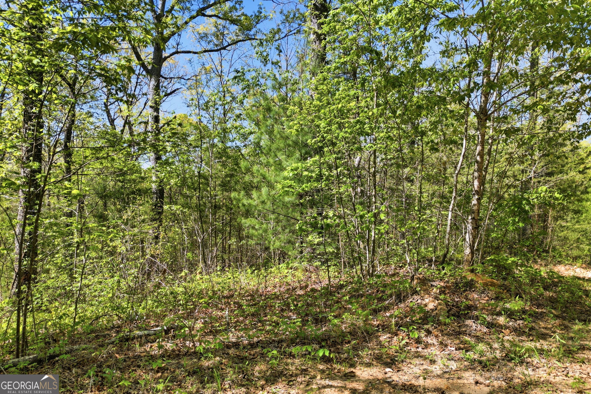 1933 Highway 136 W Talking Rock GA 30175