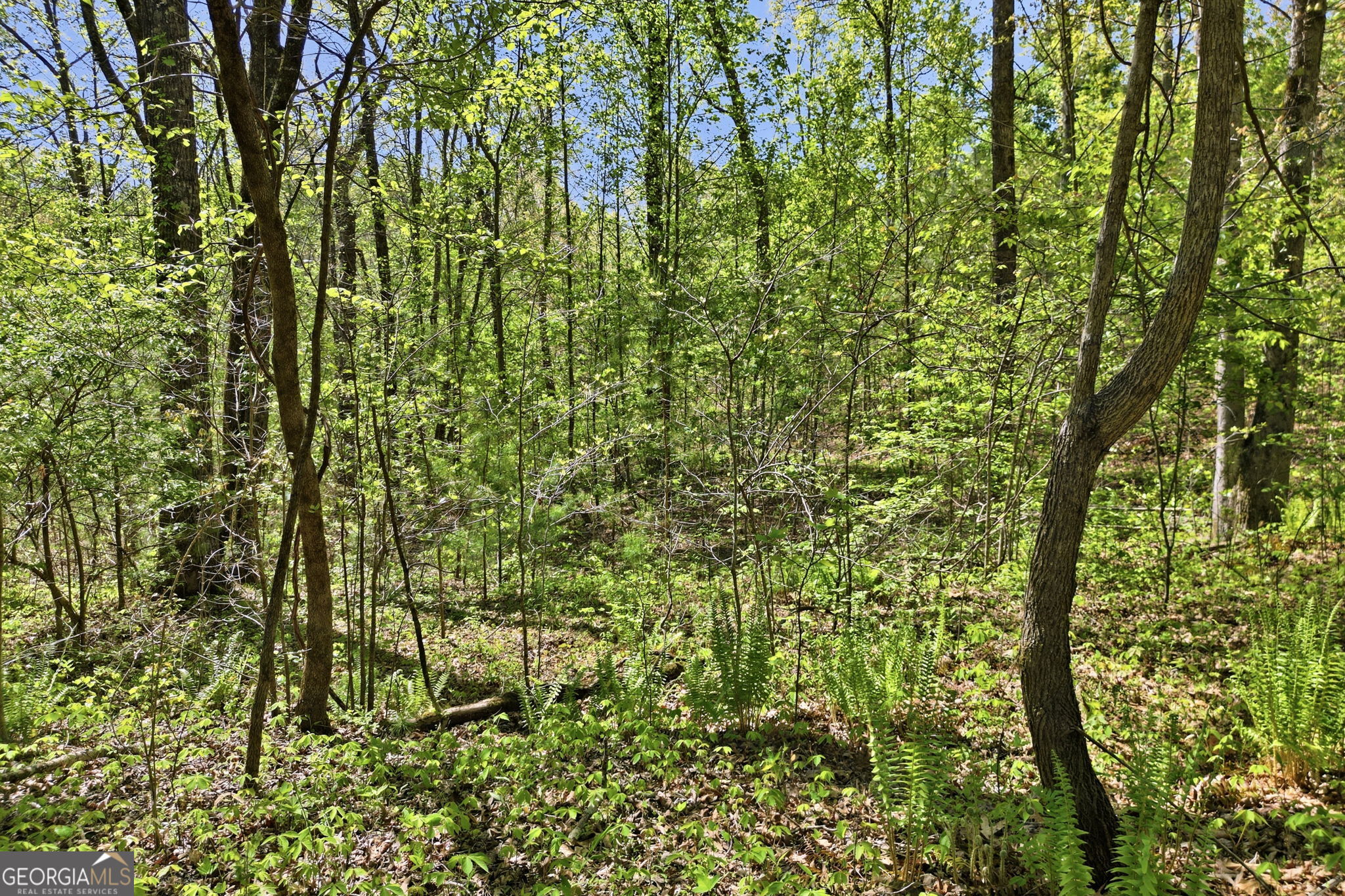 1933 Highway 136 W Talking Rock GA 30175