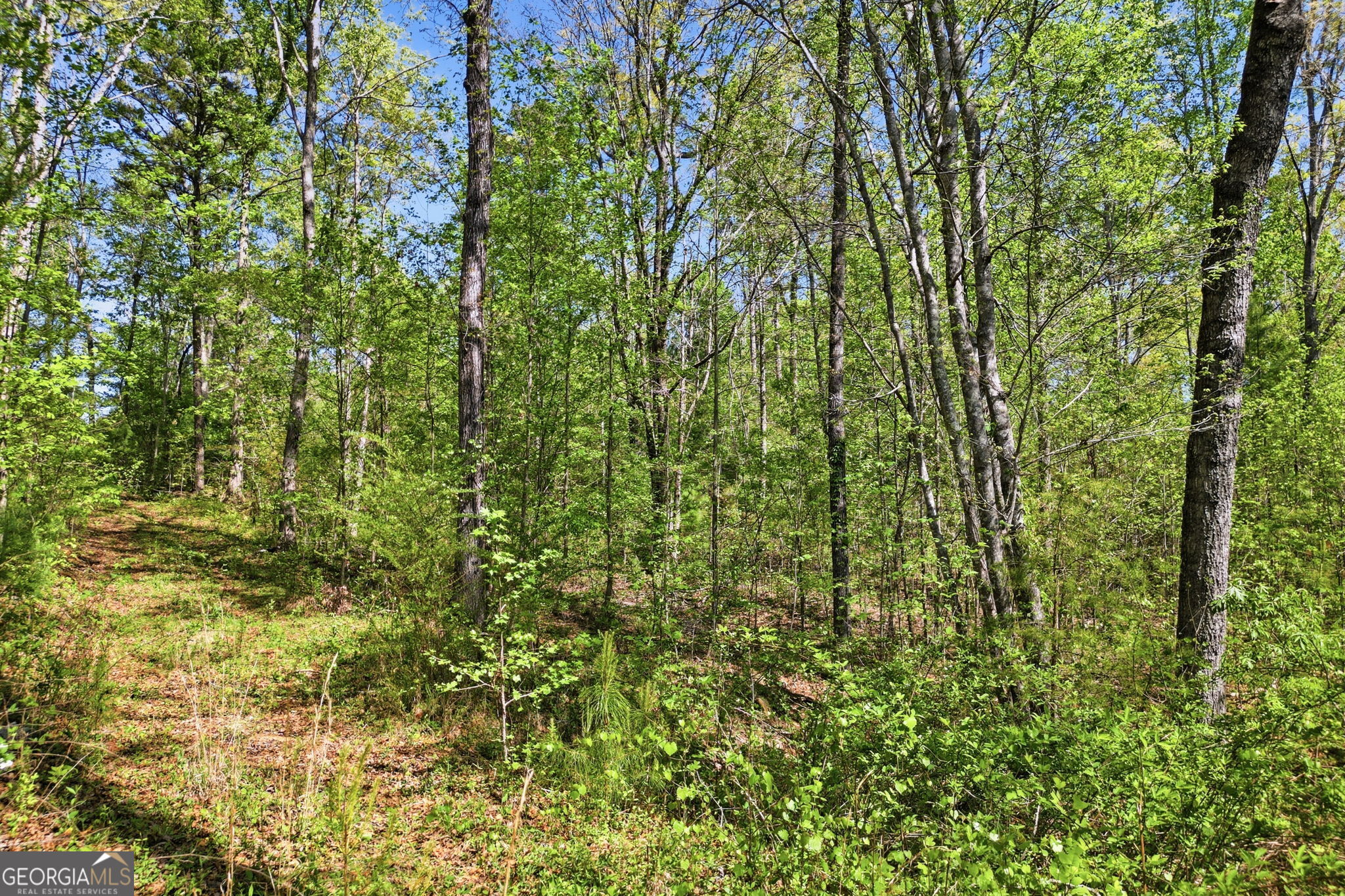 1933 Highway 136 W Talking Rock GA 30175