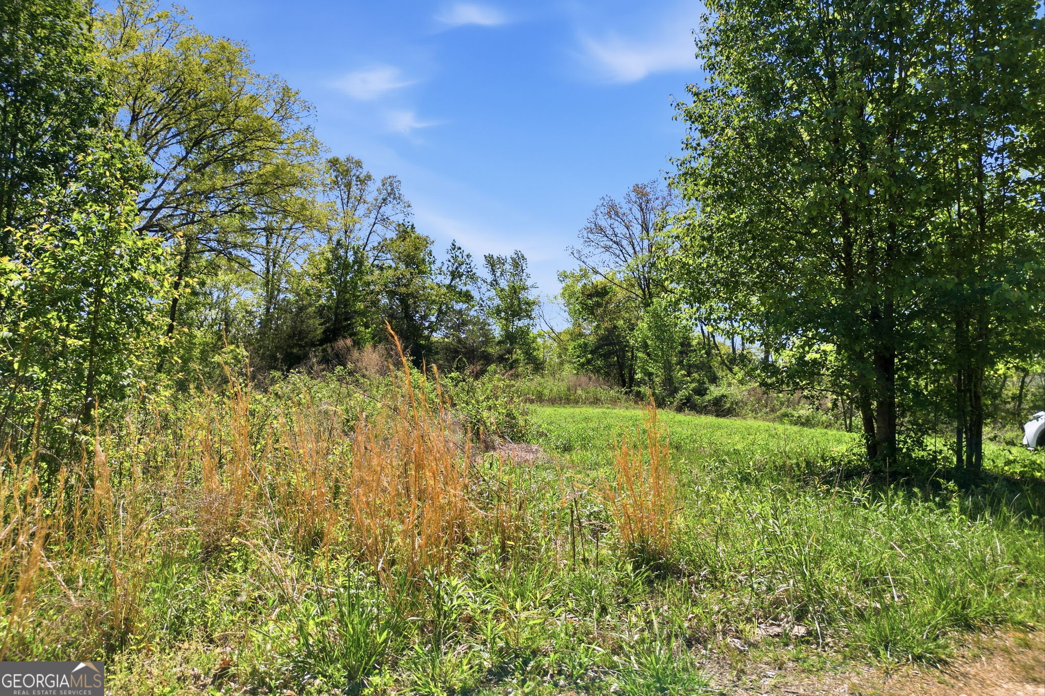 1933 Highway 136 W Talking Rock GA 30175