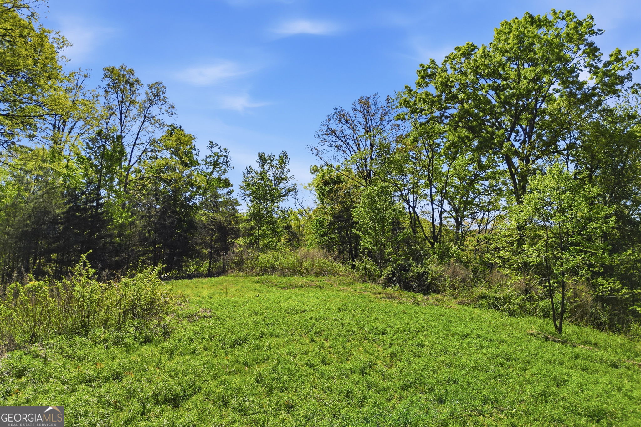 1933 Highway 136 W Talking Rock GA 30175