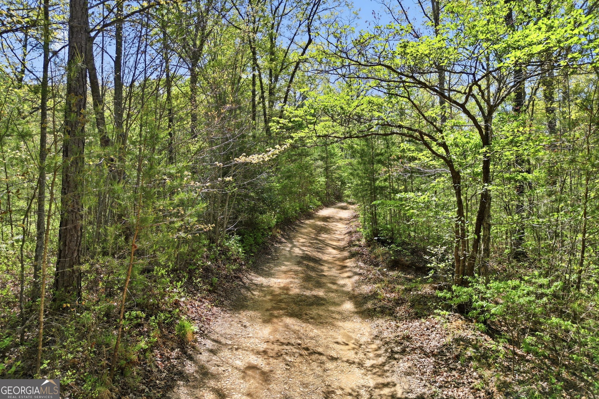 1933 Highway 136 W Talking Rock GA 30175
