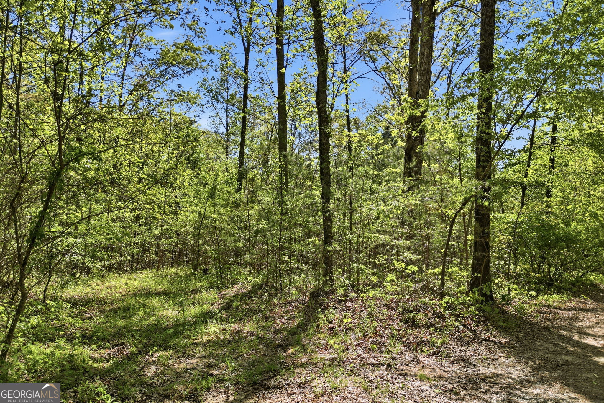1933 Highway 136 W Talking Rock GA 30175