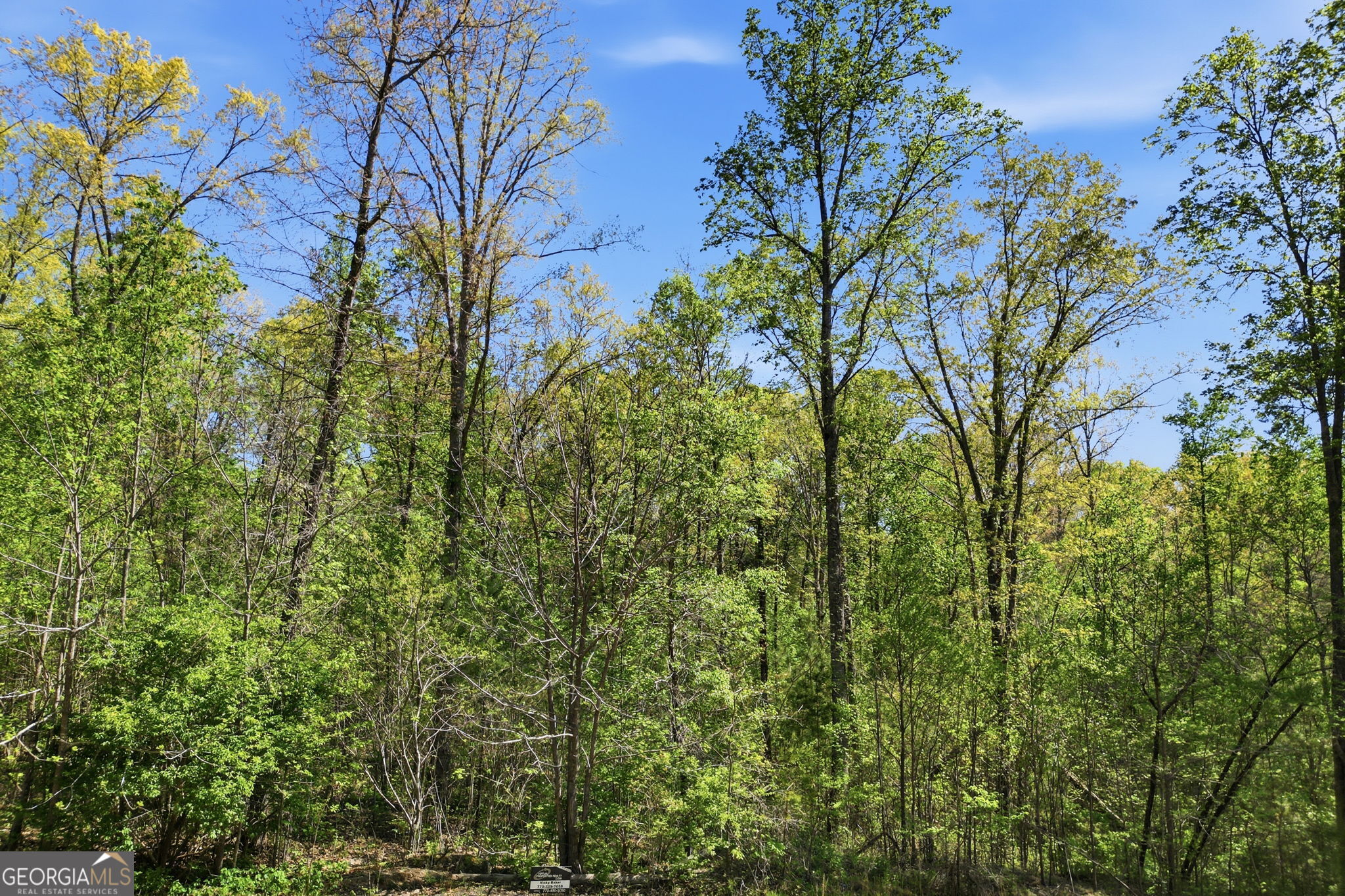 1933 Highway 136 W Talking Rock GA 30175