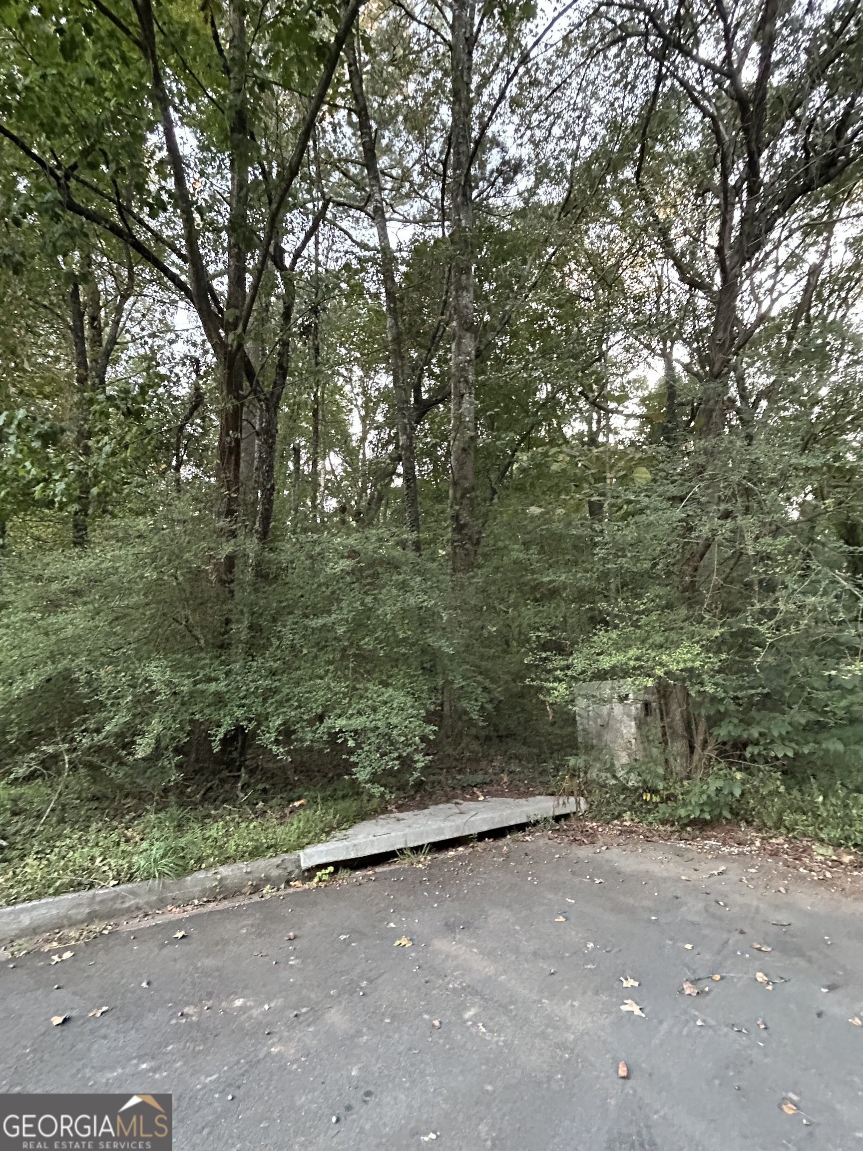 3740 Las Olas Drive South Fulton GA 30349