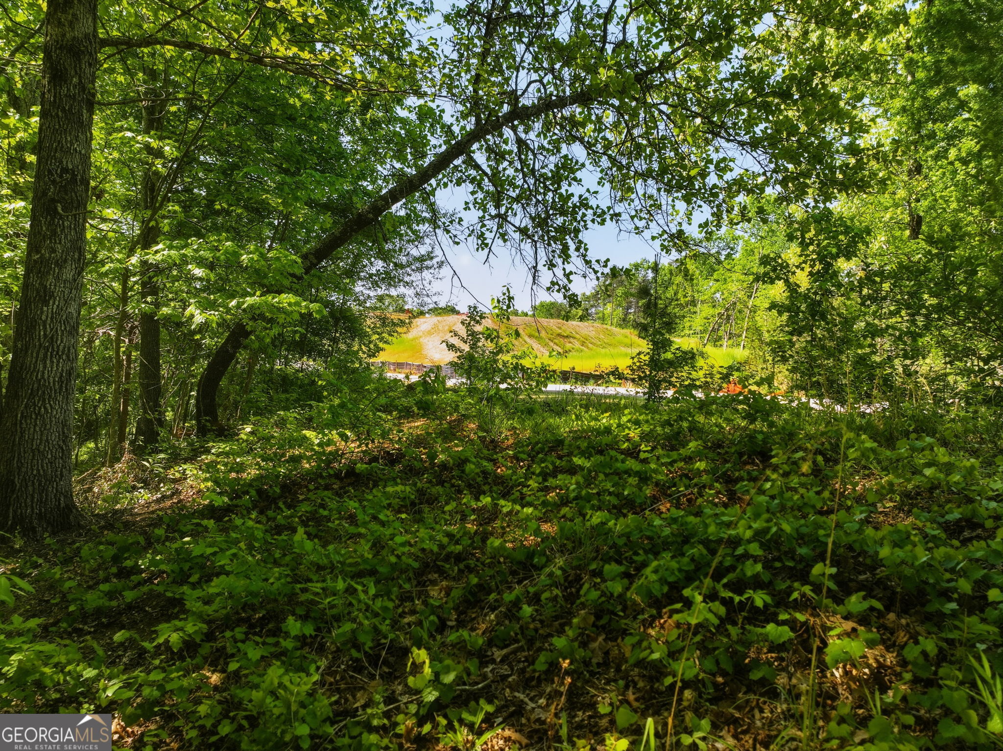 Lot 7 Summit Drive Dahlonega GA 30533