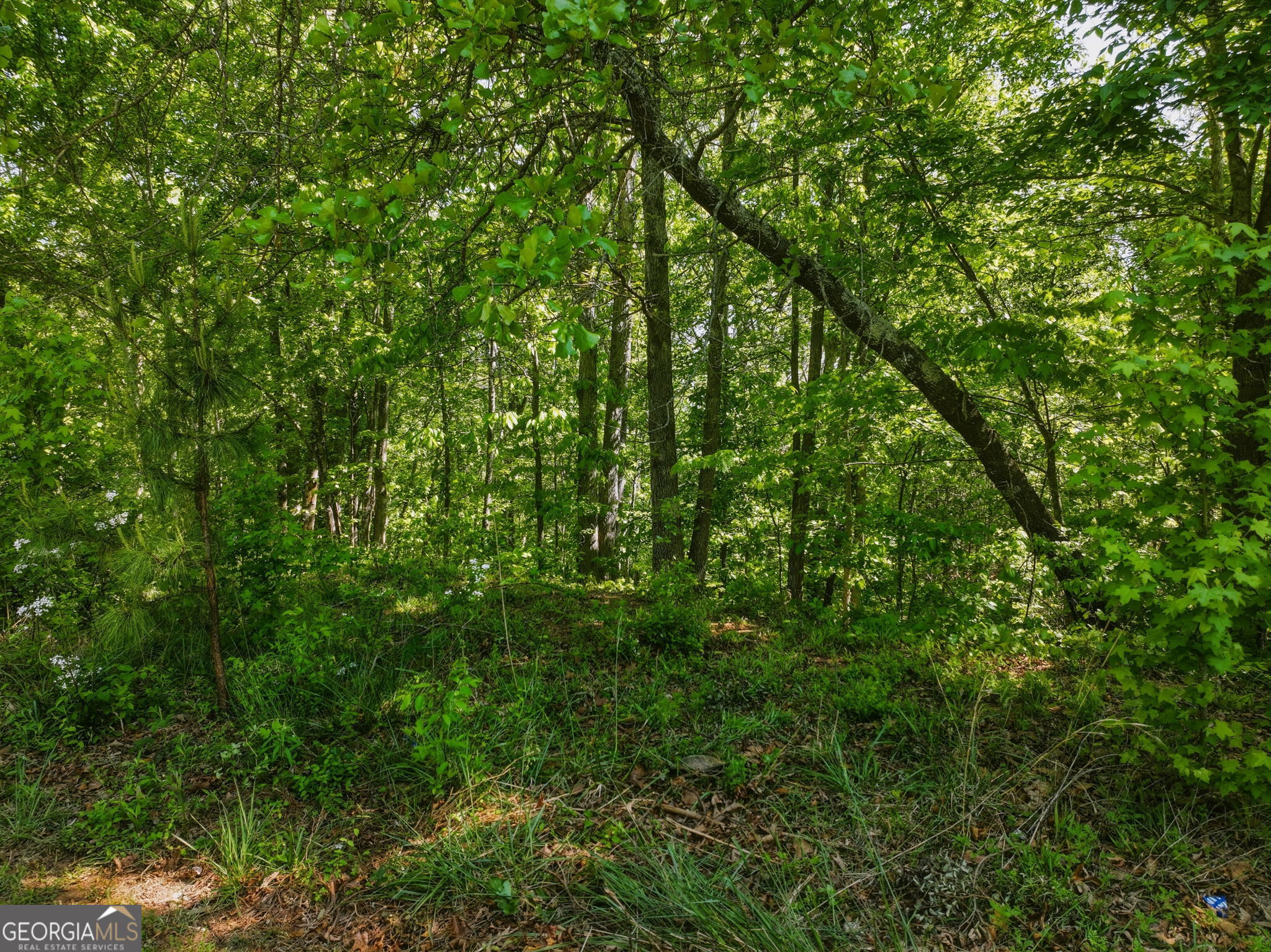 Lot 7 Summit Drive Dahlonega GA 30533