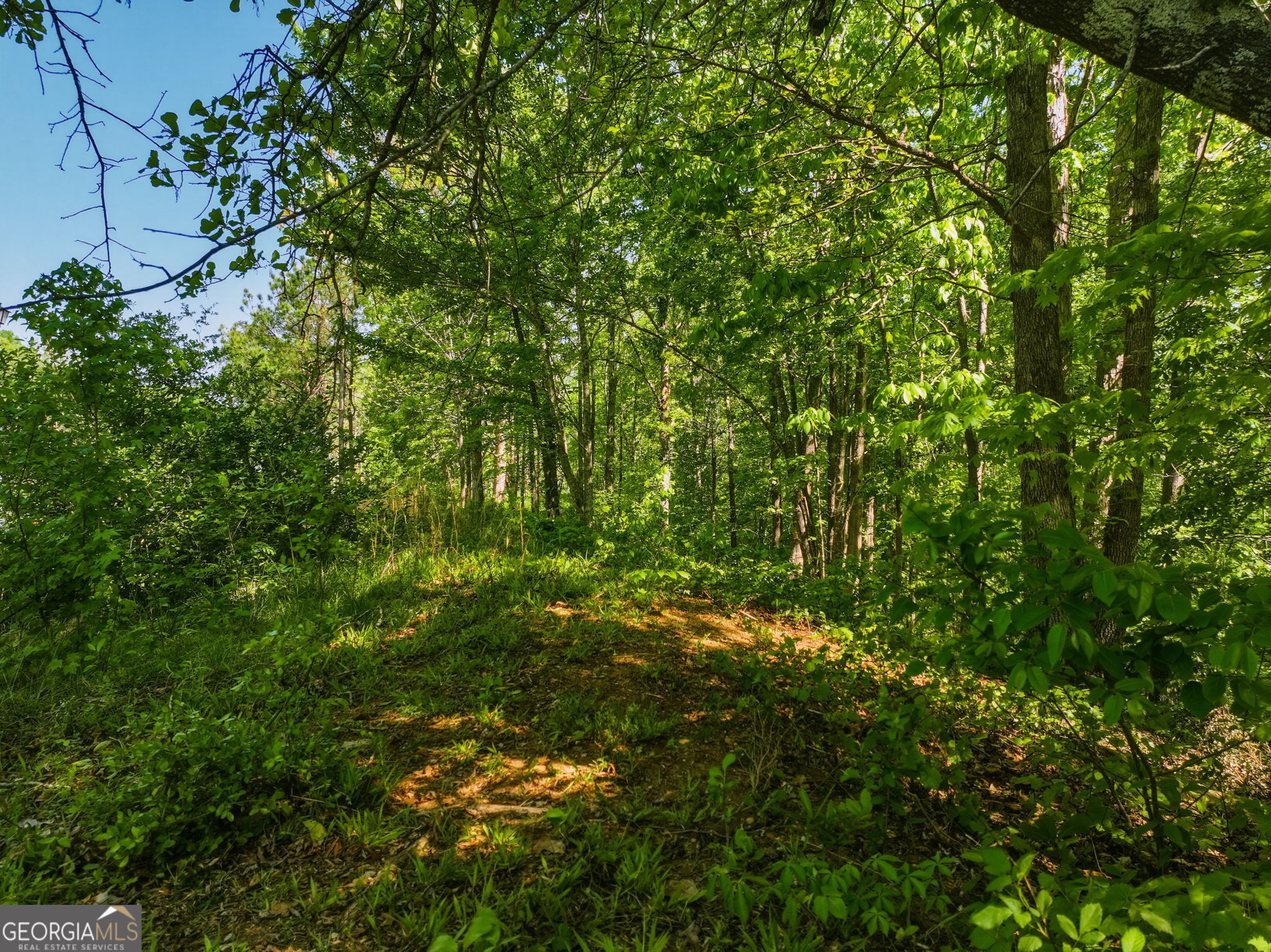 Lot 7 Summit Drive Dahlonega GA 30533