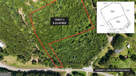 Tract 1 Tesnatee Gap Valley Road Cleveland GA 30528