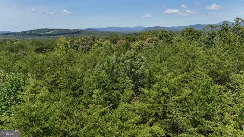 Tract 1 Tesnatee Gap Valley Road Cleveland GA 30528