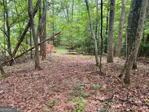 Lot 5 Fowler Creek Drive Cleveland GA 30528