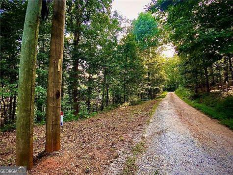 Lot 5 Fowler Creek Drive Cleveland GA 30528