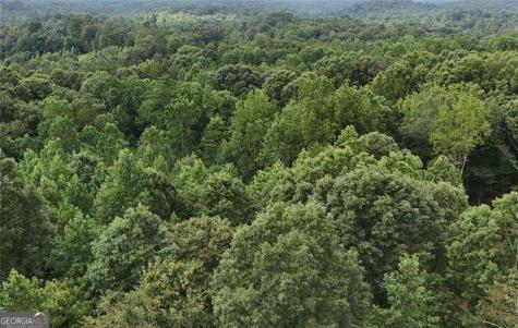 Lot 5 Fowler Creek Drive Cleveland GA 30528